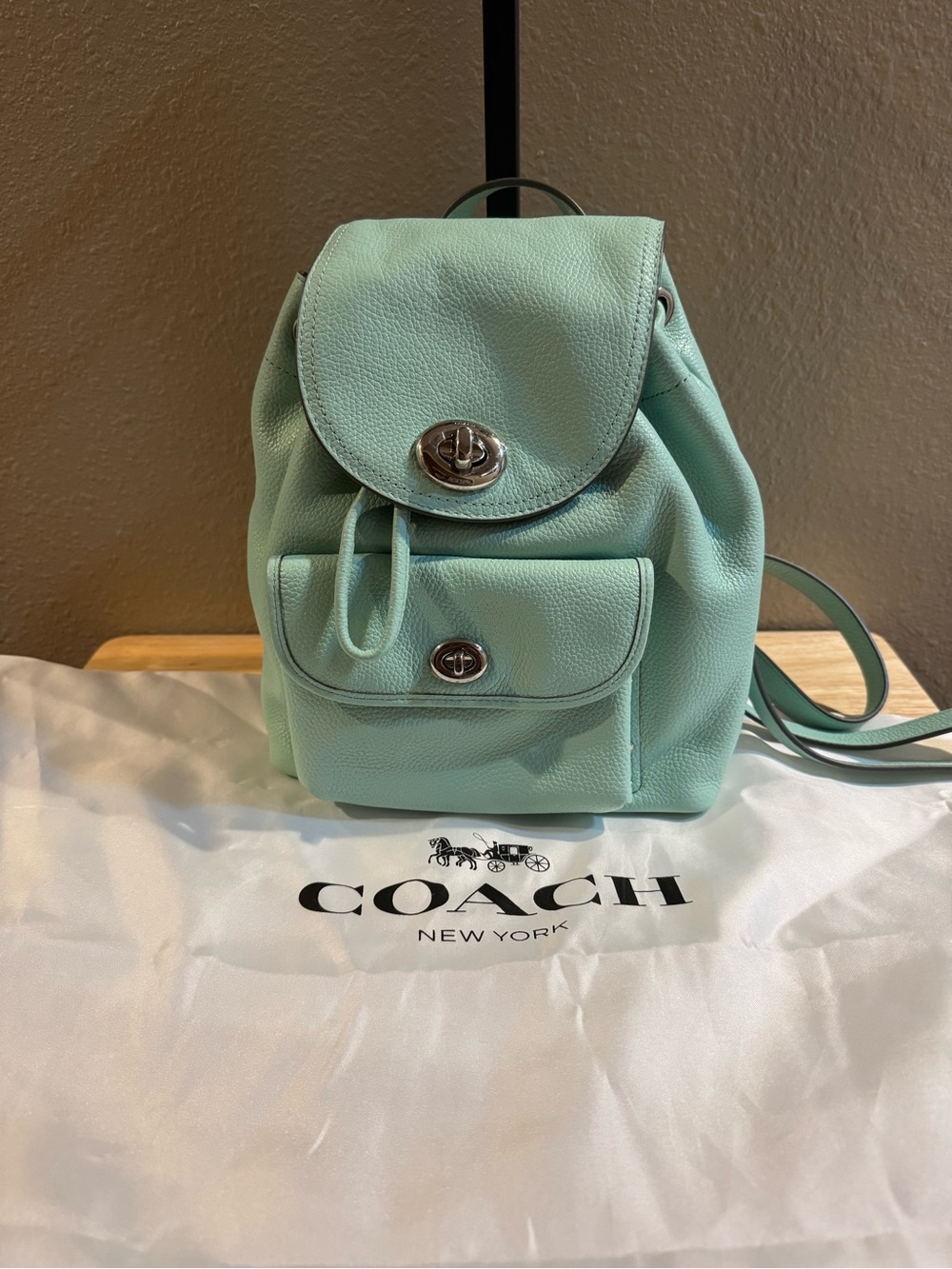 Coach Pebble Leather Mini Backpack in Mint Green with Silver Hardware
